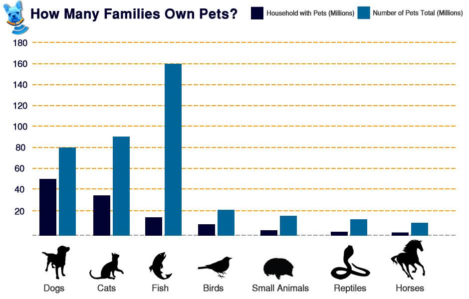 Graphic chart about families of pets.