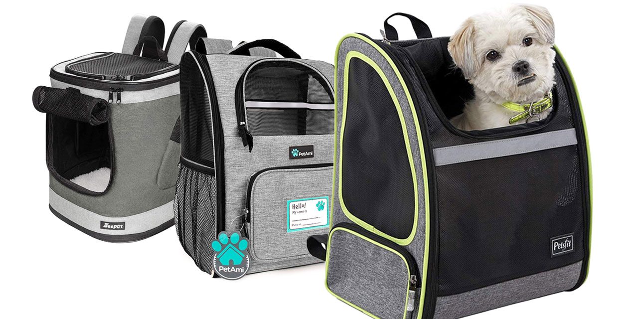 The Best Small Dog Backpack Carriers of 2019