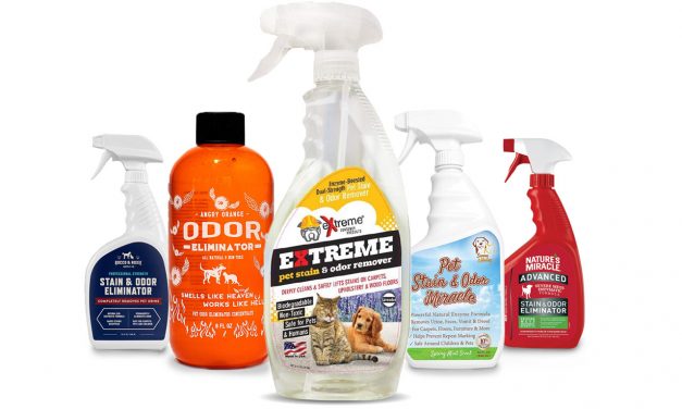 The Best Pet Odor Neutralizers of 2019