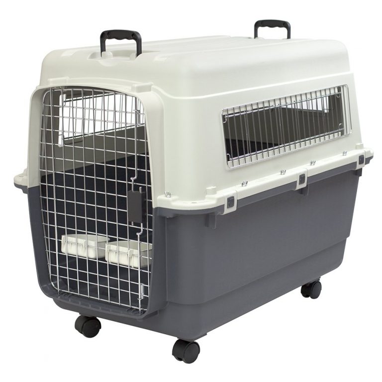 travel dog crates airline approved