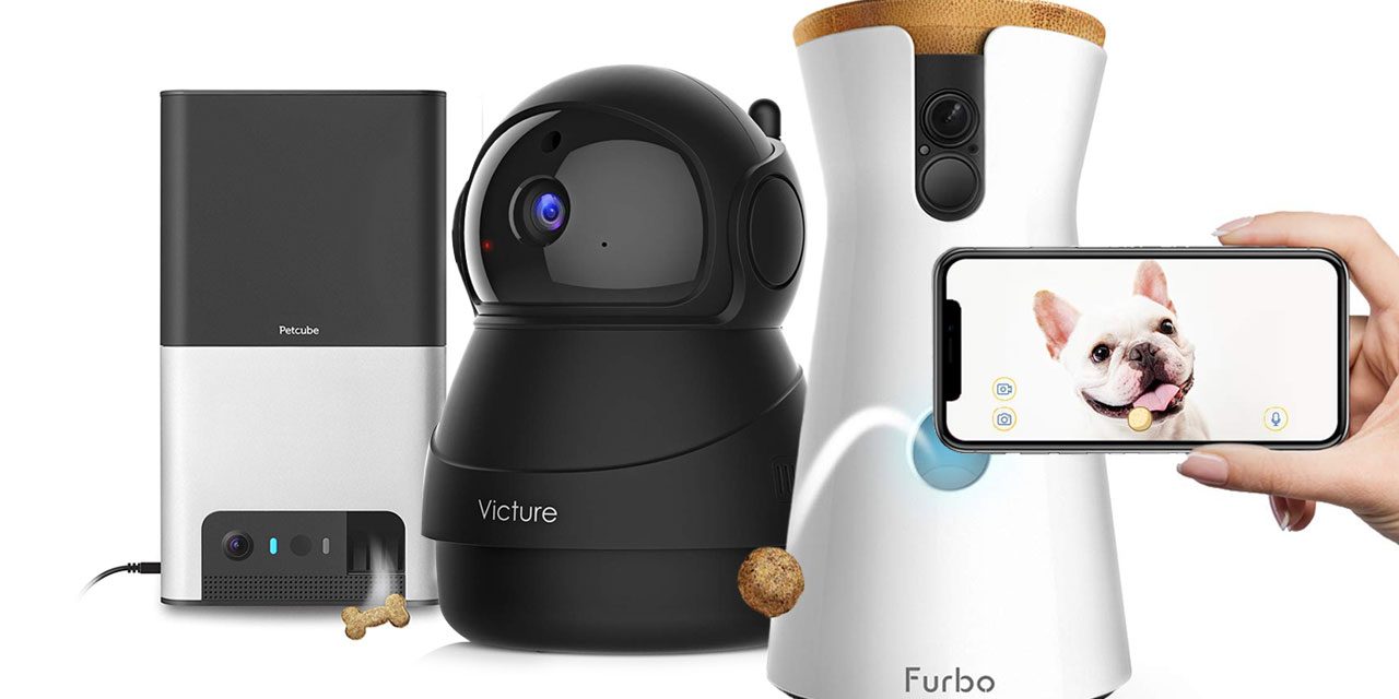 The Best Pet Cameras of 2019