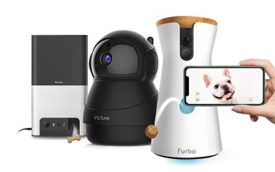 The Best Pet Cameras of 2019