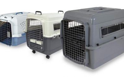 The Best Airline-Approved Dog Crates of 2019